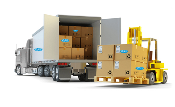 Surface Cargo